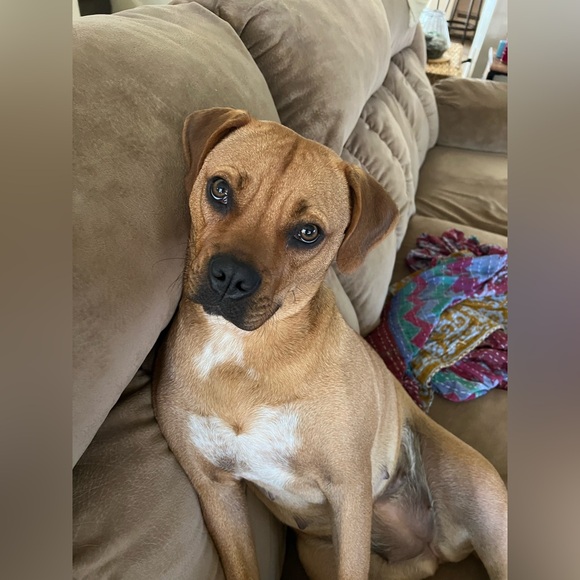 Meet your Posher, Tracey and David - Picture 6 of 7